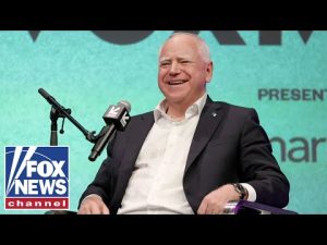 Read more about the article Why the Minnesota fraud case shows the government is ‘failing at its basic duties’