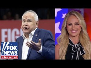 Read more about the article Tomi Lahren: States like this are ‘defrauding the American people’