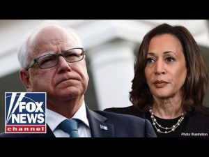 Read more about the article Walz reveals whether he’d support Kamala Harris in presidential bid