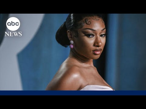 You are currently viewing Megan Thee Stallion wins defamation trial against blogger