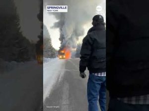 Read more about the article Students safely evacuated after school bus catches fire