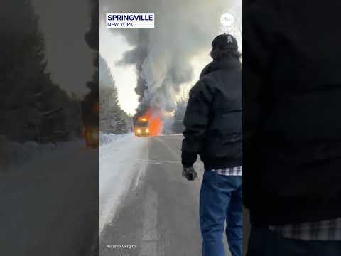 You are currently viewing Students safely evacuated after school bus catches fire