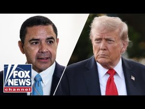Read more about the article Trump slams Cuellar’s re-election bid after pardon: ‘Lack of LOYALTY’
