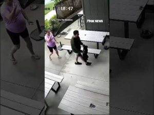 Read more about the article WATCH: BABY SEAL walks INTO A BAR #foxnews #news #us #fox