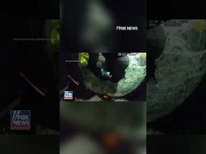 Read more about the article SEE IT: Police save woman from burning car #foxnews #news #us #fox