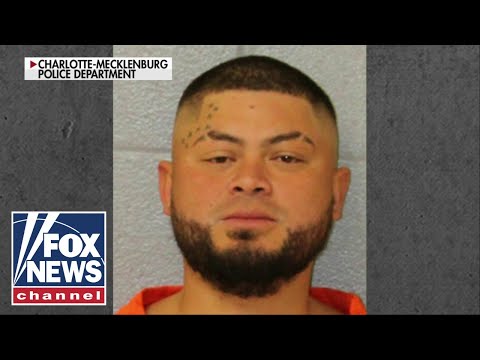 You are currently viewing REVEALED: Criminal history of illegal immigrant accused of Charlotte light rail stabbing