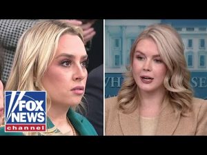 Read more about the article Leavitt defends strikes against alleged drug boats as acts of ‘self-defense’