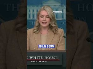 Read more about the article NEW: Karoline Leavitt addresses the shooting near the White House #whitehouse #shorts #incident