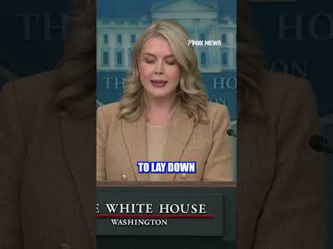 You are currently viewing NEW: Karoline Leavitt addresses the shooting near the White House #whitehouse #shorts #incident