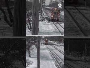 Read more about the article Commuter trains hits vehicle in Chicago suburbs
