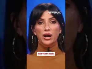 Read more about the article Alleged Somali fraud scheme could be more ‘widespread’: Dana Loesch