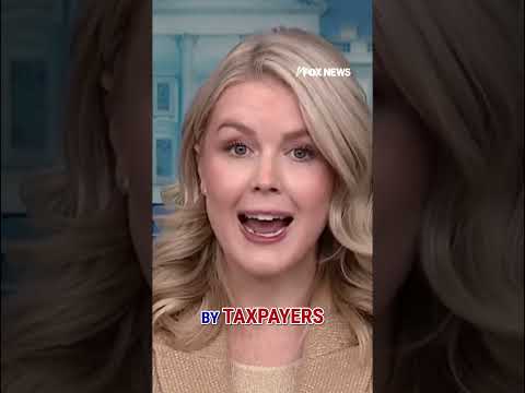 Read more about the article MASSIVE FRAUD: Press Secretary Karoline Leavitt lays out claims in Minnesota #shorts #usa #news #new