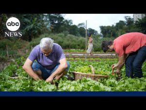 Read more about the article President of America Soybean Association reacts to the $12B bailout