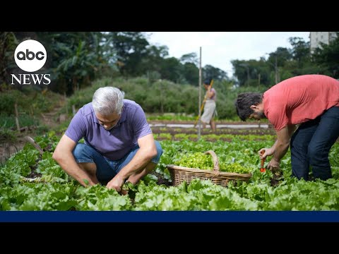 You are currently viewing President of America Soybean Association reacts to the $12B bailout