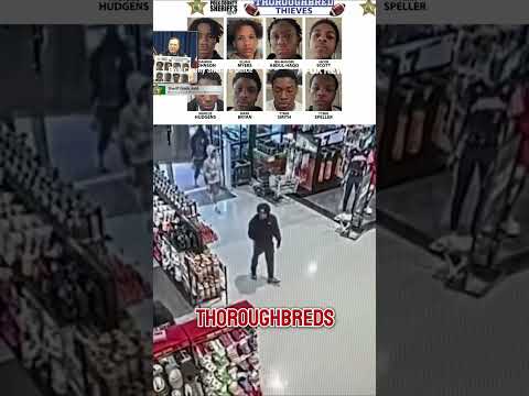 Read more about the article NEW: Eight youth football players face charges for retail theft