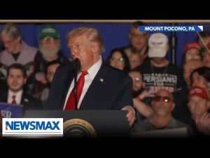 Read more about the article Trump: ‘Ilhan Omar and the people from Somalia – they hate our country’