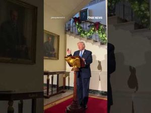 Read more about the article WATCH: Trump honors fallen and injured National Guard members #shorts #usa #trump #news #new #us