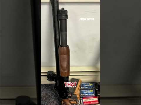 Read more about the article Twins arrested for DEATH THREATS against DHS, ICE #foxnews #news #us #fox