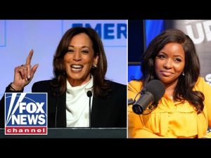 Read more about the article ‘She makes Kamala look bright’: Kevin McCarthy