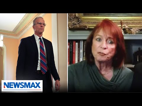 You are currently viewing Thune shouldn’t let Senate go home until attorneys confirmed: Toensing | The Chris Salcedo Show