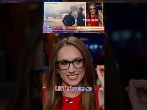 Read more about the article Gutfeld mocks Newsom for insensitive comments: ‘BREAKS my heart!’ #shorts #foxnews