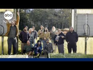 Read more about the article Made in America: David Muir spotlights Christmas tree farms across the U.S.