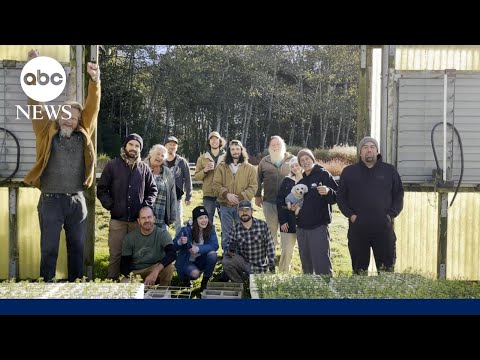 Read more about the article Made in America: David Muir spotlights Christmas tree farms across the U.S.