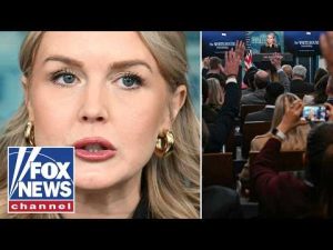 Read more about the article ‘UTTER LIES!’: Leavitt goes OFF on media’s reports