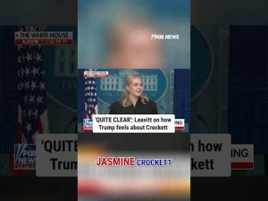 Read more about the article Leavitt calls Jasmine Crockett ‘wholly unqualified’ for Senate office #shorts #trump #crockett #fox