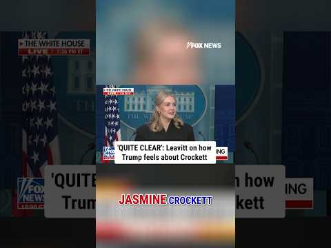 You are currently viewing Leavitt calls Jasmine Crockett ‘wholly unqualified’ for Senate office #shorts #trump #crockett #fox