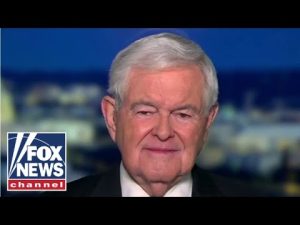 Read more about the article Newt Gingrich: THIS is confusing free speech with the right to be an idiot