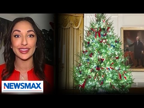 You are currently viewing The Kennedy Center will now represent America: Roma Daravi | Wake Up America