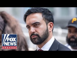 Read more about the article Mamdani advises on how to thwart ICE raids