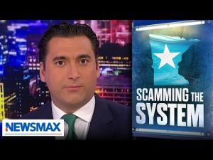 Read more about the article The exact formula that created ‘scammer’s paradise’ in blue states: Bob Brooks