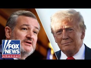 Read more about the article TAKIN’ CARE OF BUSINESS: Cruz applauds Trump admin for executing ‘core responsibility’