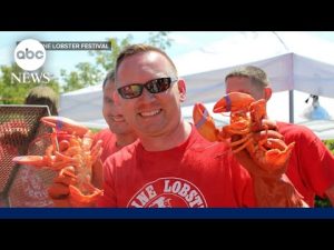 Read more about the article Inside the Maine Lobster Festival