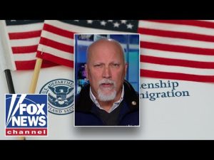 Read more about the article ‘FIX OUR SYSTEM’: GOP lawmaker calls for end to birthright citizenship