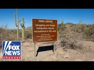 Read more about the article The Trump administration fixed this ‘immediately’: Border Patrol union chief