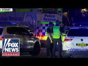 Read more about the article Questions surround how suspect in Sydney shooting obtained guns