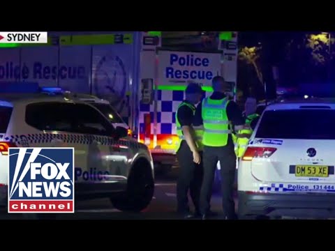 You are currently viewing Questions surround how suspect in Sydney shooting obtained guns