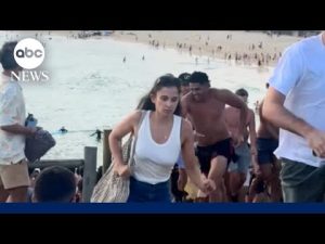 Read more about the article Suspects in Hanukkah celebration mass shooting in Australia identified