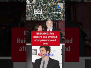 Read more about the article BREAKING: Rob Reiner’s son arrested after parents found dead #shorts #us #robreiner #breakingnews