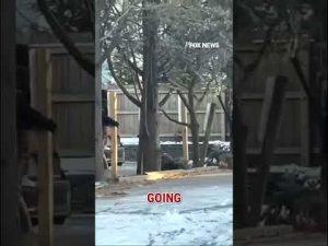 Read more about the article NEW: FBI scours buildings for evidence as the manhunt continues Brown University shooter