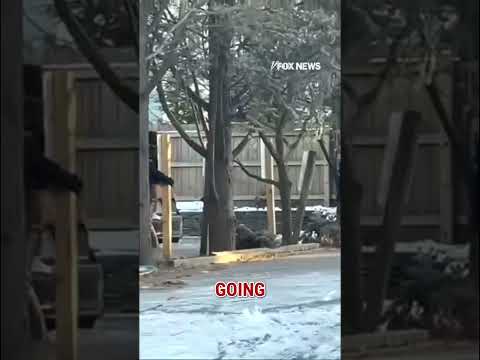 You are currently viewing NEW: FBI scours buildings for evidence as the manhunt continues Brown University shooter