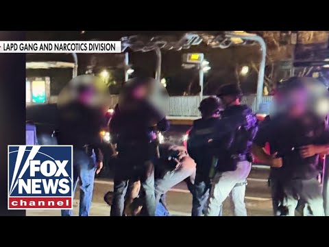 You are currently viewing SEE IT: Photos show police arresting Rob Reiner’s son after ‘gruesome’ murder