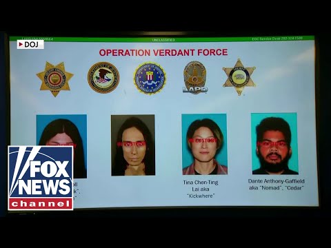 Read more about the article New Year’s Eve BOMBING PLOT: Inside the FBI sting that stopped ‘DEADLY SERIOUS’ bombers