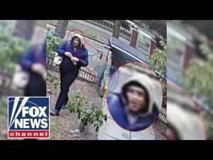 Read more about the article LIVE: Police search for second person in ‘close proximity’ to POI in Brown University shooting