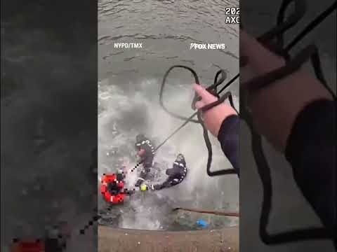 Read more about the article ‘I GOT YOU’: NYPD officers pull off heroic rescue in NY Harbor #shorts #us #news #police #rescue