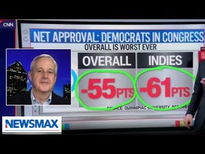 Read more about the article Democrats have doubled down on stupid: Michael Whatley | The Chris Salcedo Show