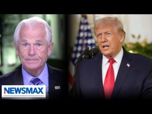 Read more about the article ‘Democrats cause inflation. Trump cures inflation’: Peter Navarro